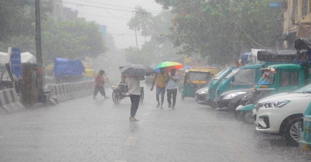 rain 11 2