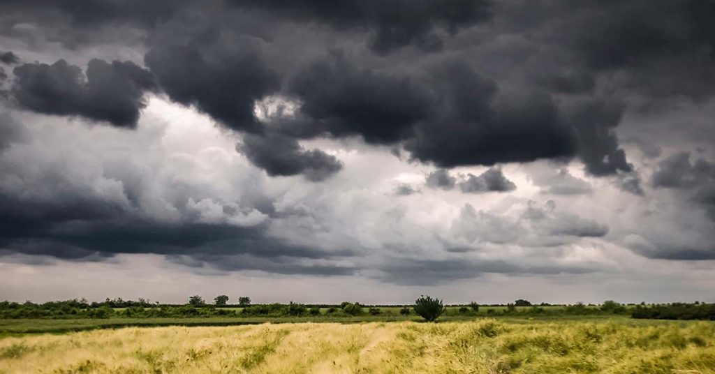 rain weather