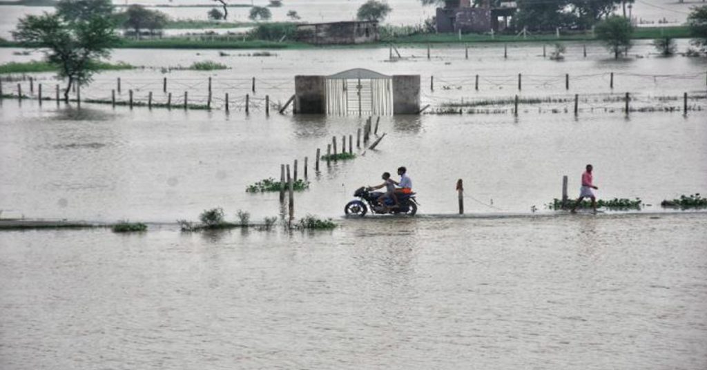 up flood 11