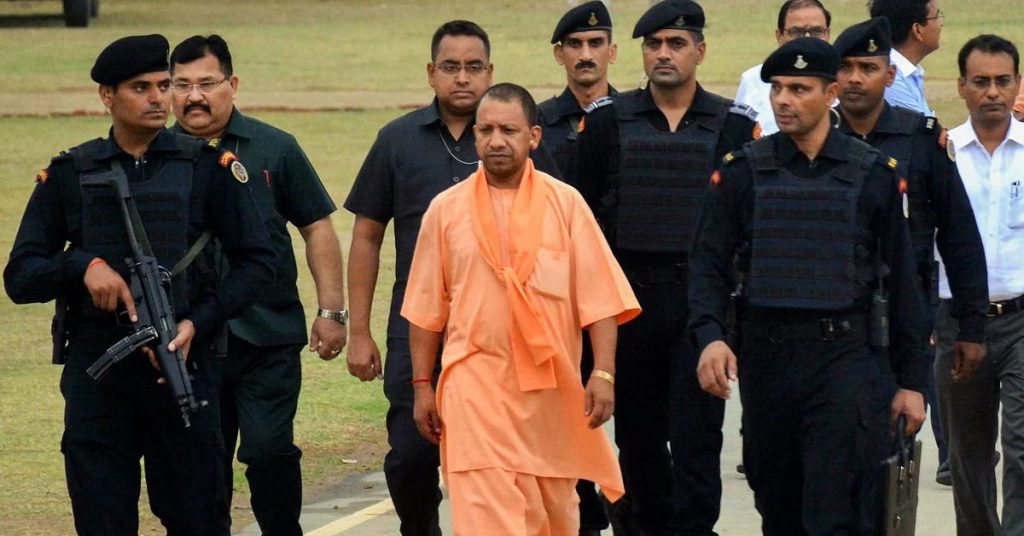 yogi 1
