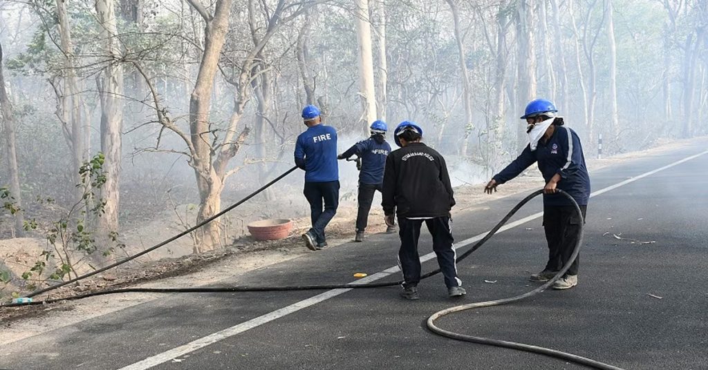 Brazil Fire