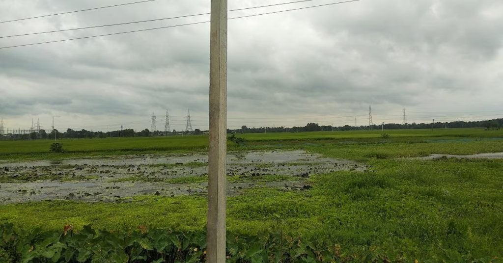 Bihar Flood