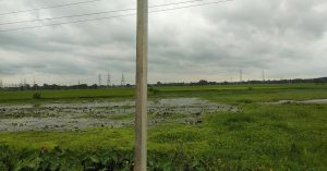 Bihar Flood