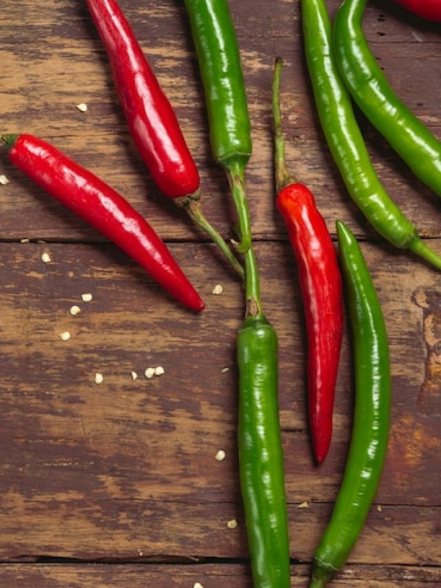 Chilli 3