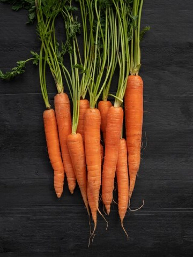 carrot
