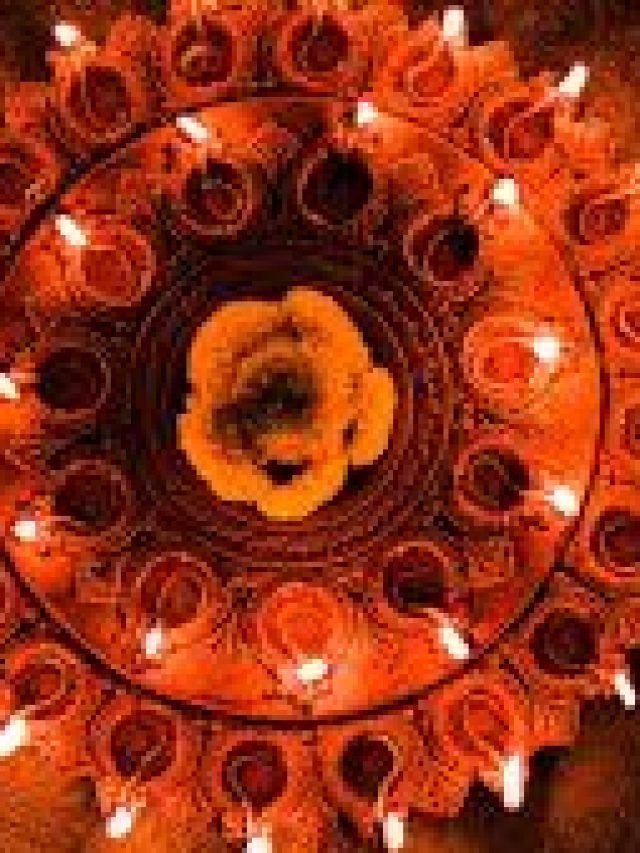 images (29)