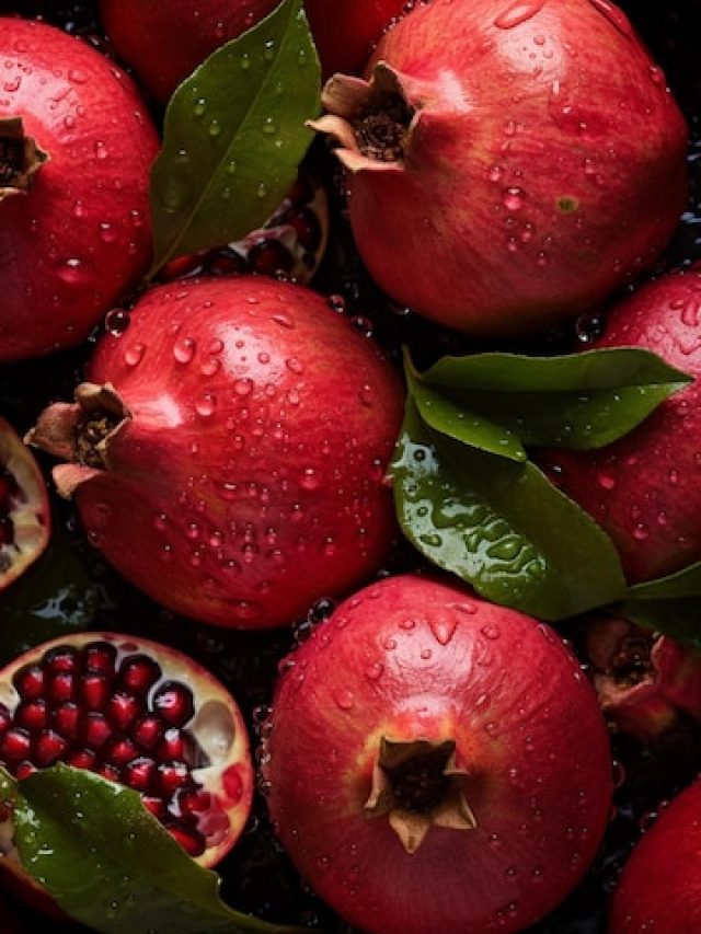 pomegranate 11