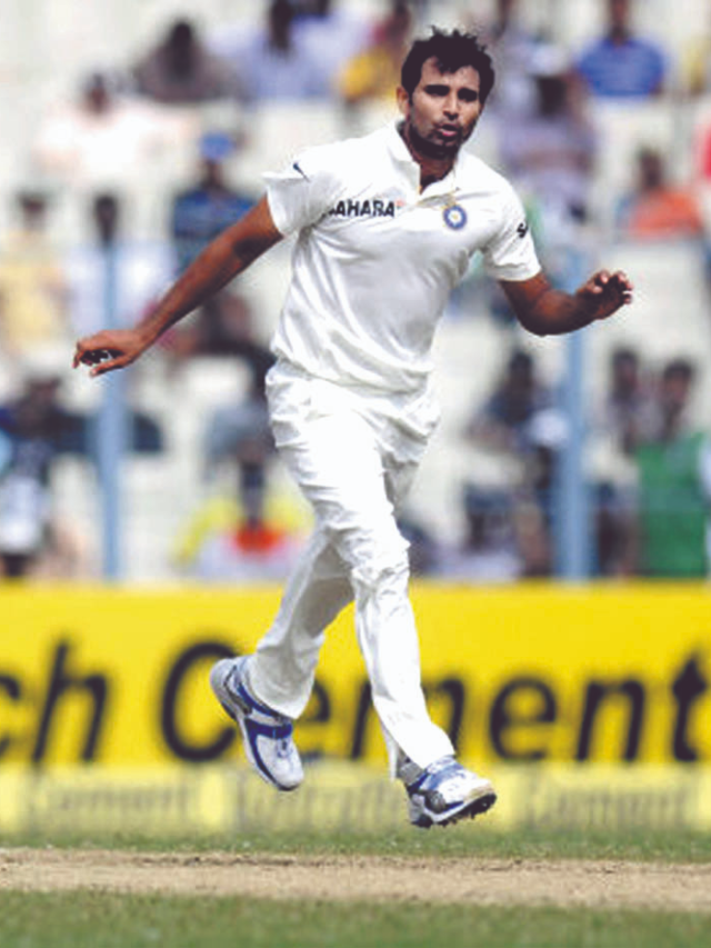 shami-copy