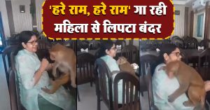 राम नाम का भजन गा रही महिला से आ लिपटा बंदर, मंत्रमुग्ध कर देगा राम भक्ति का यह वीडियो