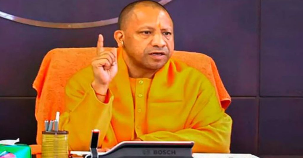 yogi 11