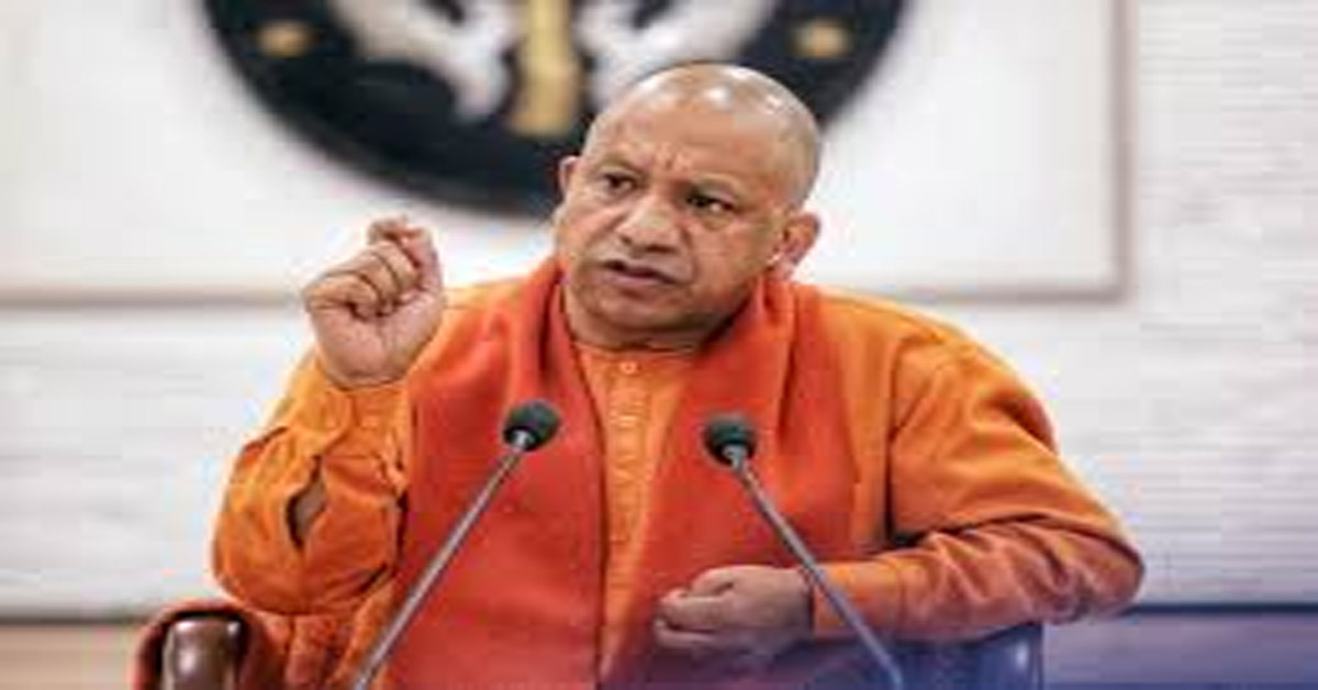 yogi 7