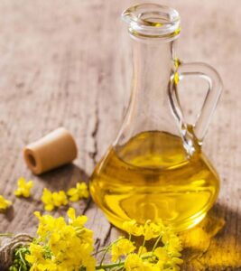 Benefits of Mustard Oil : सरसों के तेल से पैरों में मालिश करने पर आपको मिलेंगे ये फायदे
