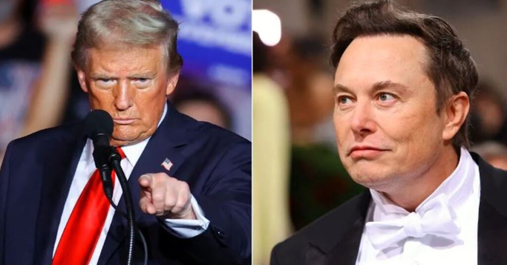 1360768 musk 11