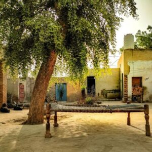 Places To Visit in Punjab: पंजाब के फिरोजपुर में मौजूद हैं ये खूबसूरत जगह, एक बार जरुर जाएं