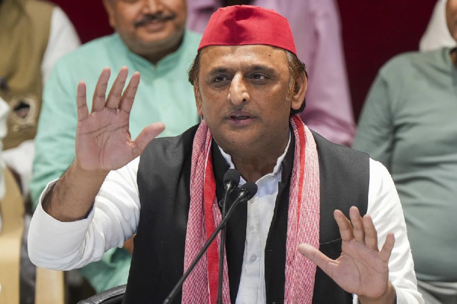 1361229 1729329353akhilesh yadav