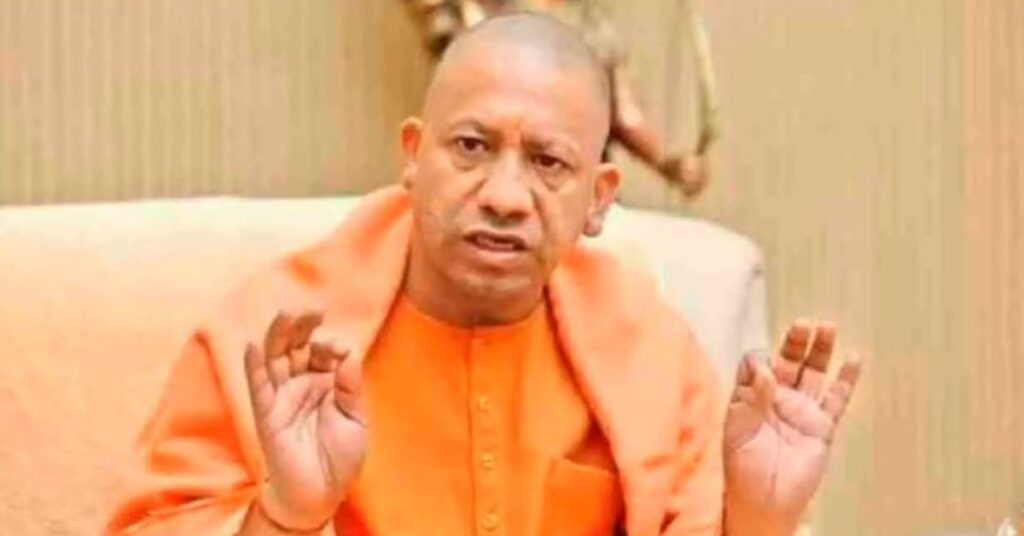 1361831 yogi 11