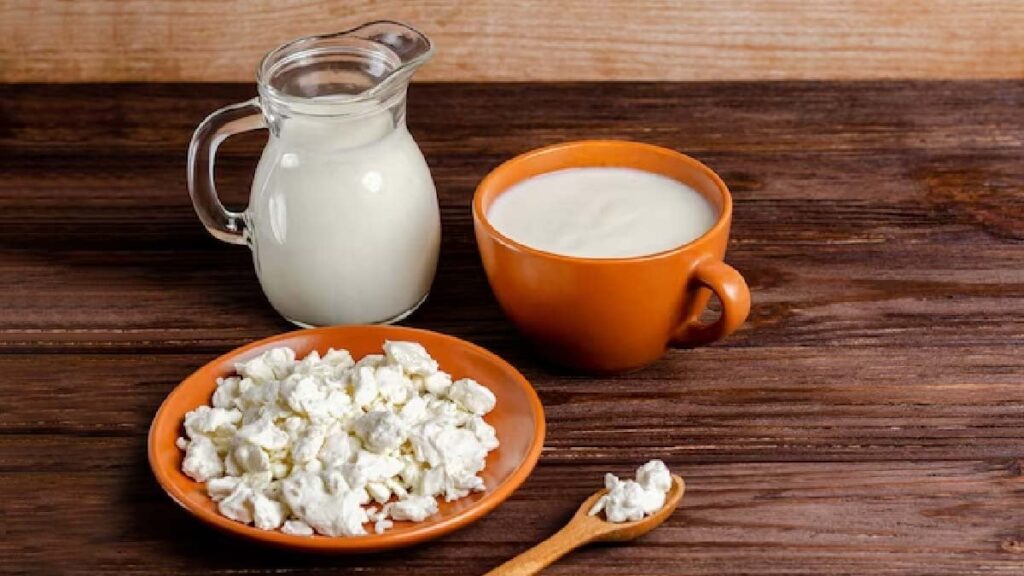 1362671 curd or milk Which is healthier