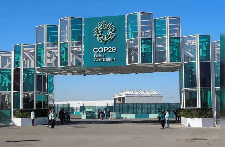 1362937 COP29