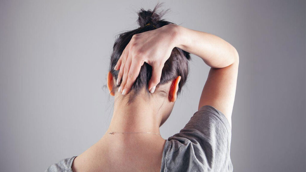 1363585 neck