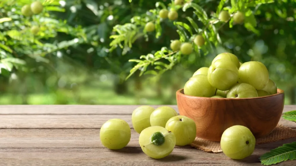 1363673 Amla