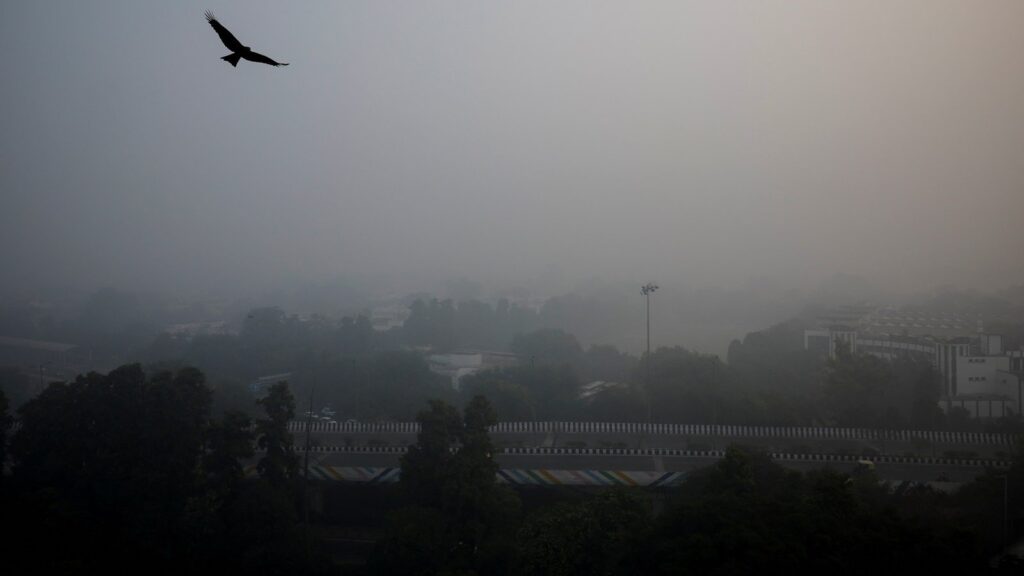 1363755 Delhi Air Pollution657