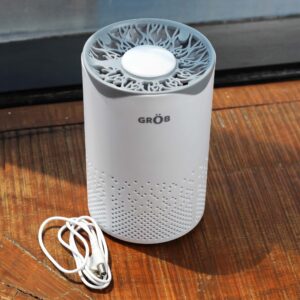 प्रदुषण काम करने के लिए घर में लगाए ये सस्ते Air Purifiers