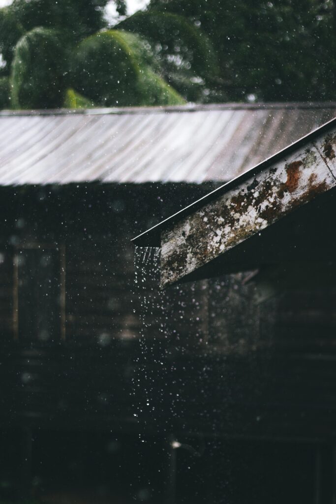 1363983 pexels andiravsanjani 1915182