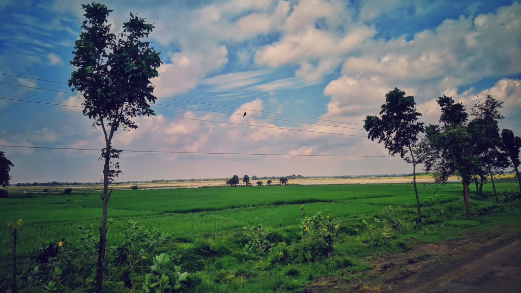 1364525 sajal das tPPh2SopGXI unsplash16957209668741695720979129