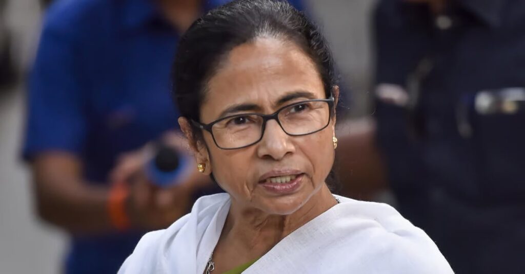 1365003 mamata