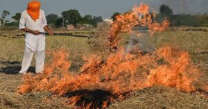 पंजाब के किसानों ने सरकार से पराली जलाने के लिए सख्त दंड का आग्रह किया