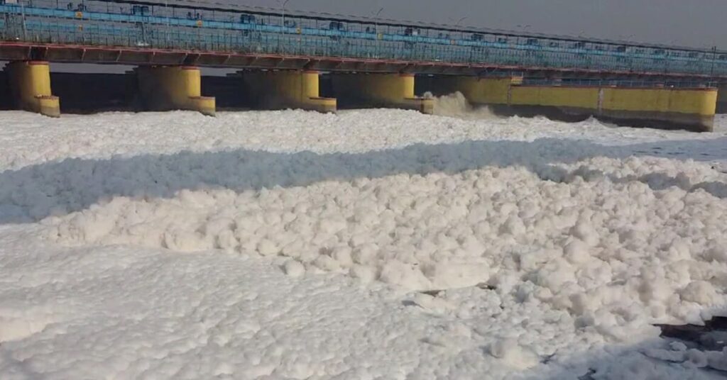 1365483 yamuna