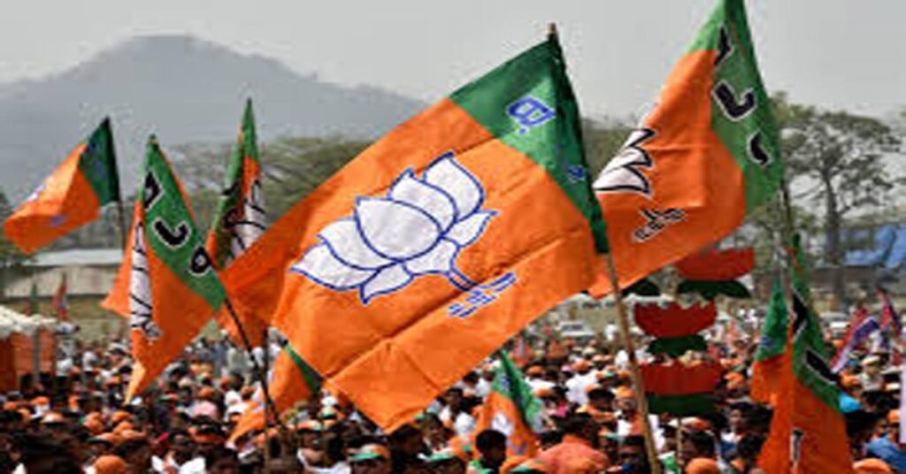 1365797 BJP