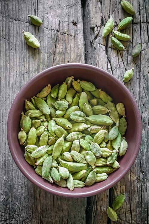 1365956 Cardamom2