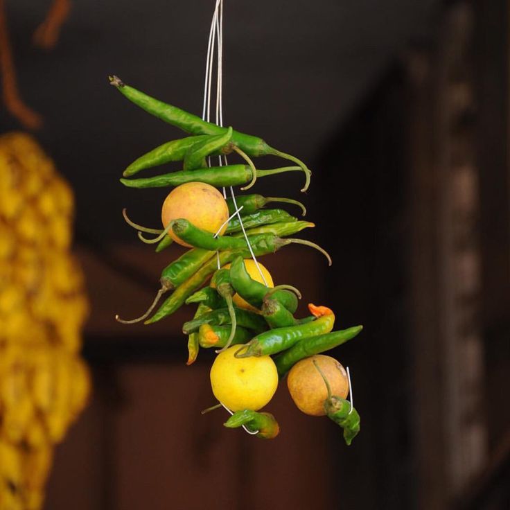 1366122 lemon Green Chilli 4