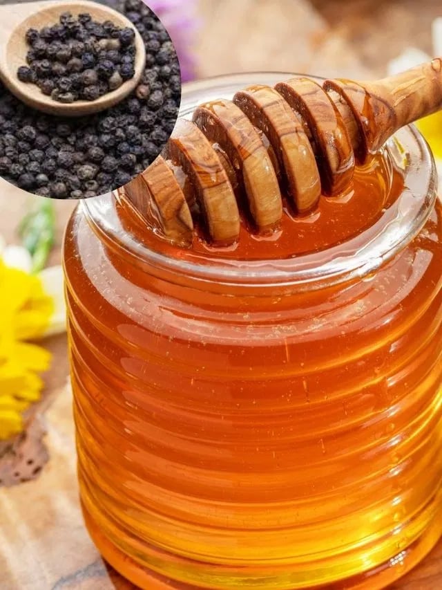 1366154 honey and pepper 1