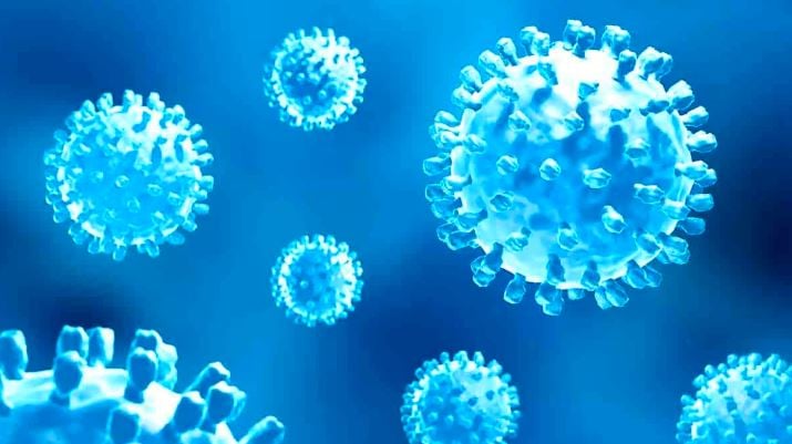 1366270 VIRUS 4