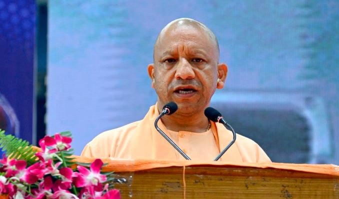 1366564 yogi