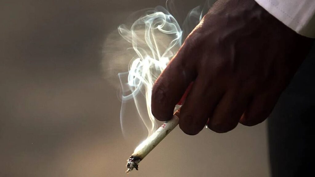 1367528 cigarette tobacco