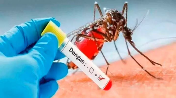 1367694 DENGUE 2