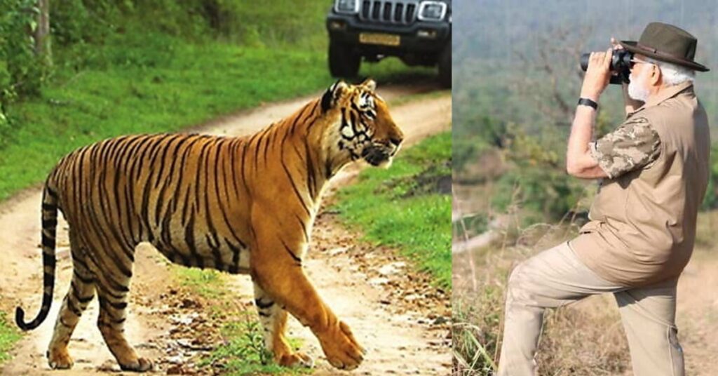 1367704 Ratapani Tiger Sanctuary