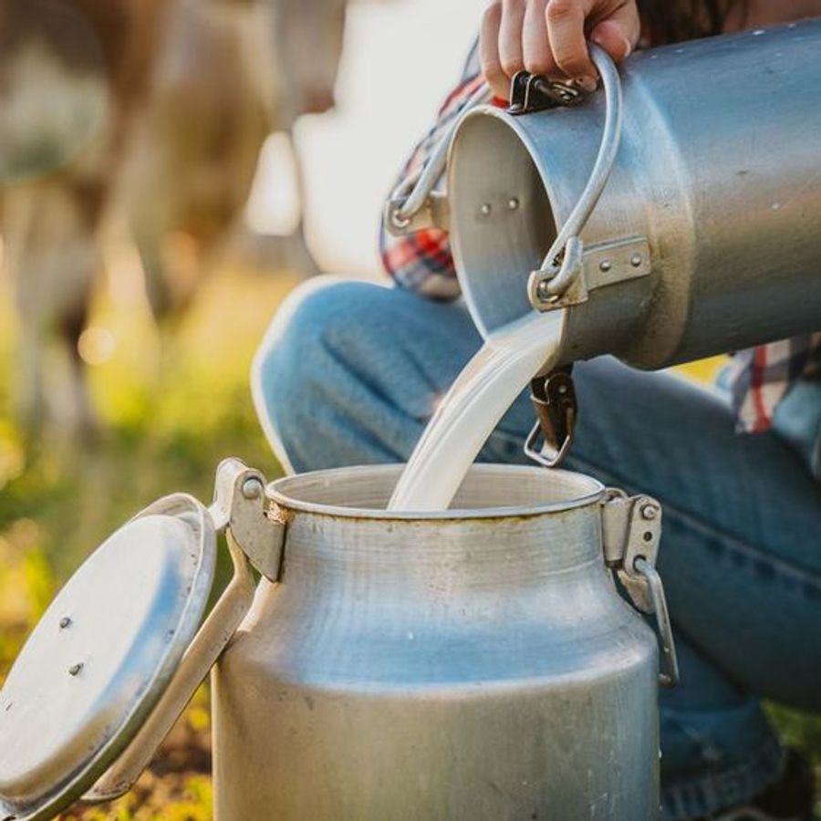 1367868 milk11