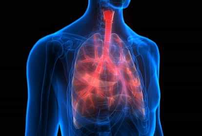 1367962 tuberculosis1616309518