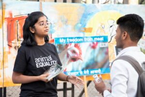 सूअर फार्म और वध स्थलों पर क्रूरता का पर्दाफाश: एनिमल इक्वेलिटी का अध्ययन