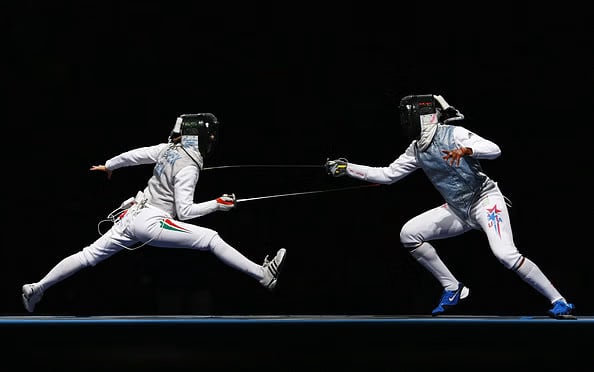 1368684 fencing 1342693
