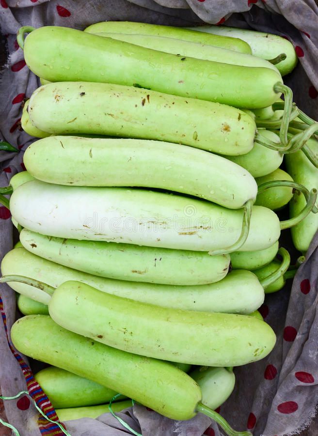 1368884 Indian Vegetable bottle Gourd Stock Image Image of diet edibles 30418173