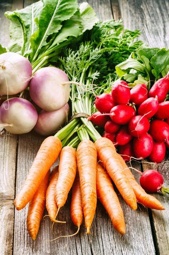 1368962 root vegetables 2