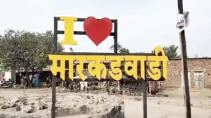 शरद पवार की चिंता पर भाजपा का जवाब, यह किसी एक पार्टी का गढ़ नहीं
