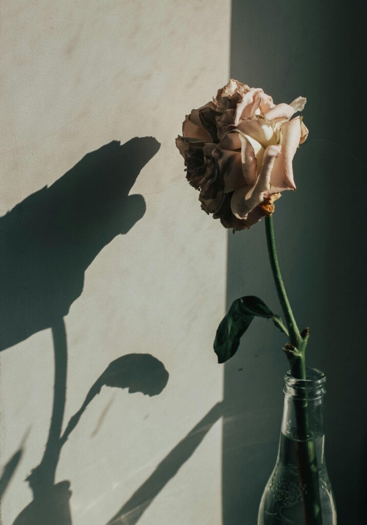 1369636 pexels marta dzedyshko 1042863 2377470