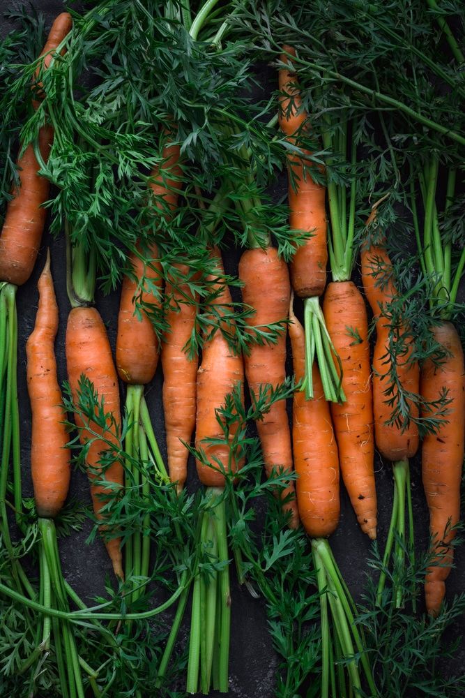 1369778 16 Vegetables That Grow In Containers