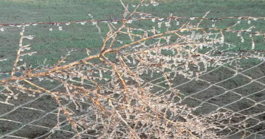 1370476 Rajasthan Weather Alert